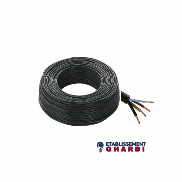 Cable souple 2*4mm