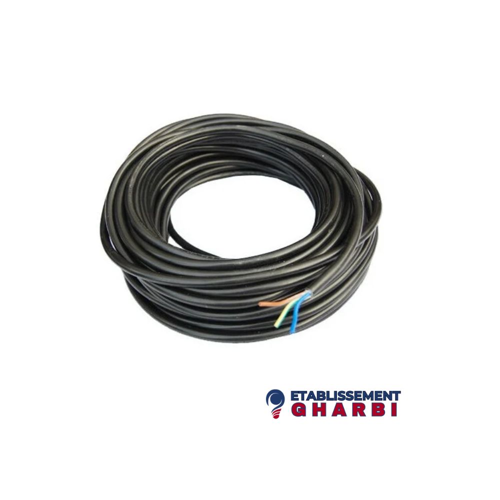 Cable souple 3*2.5