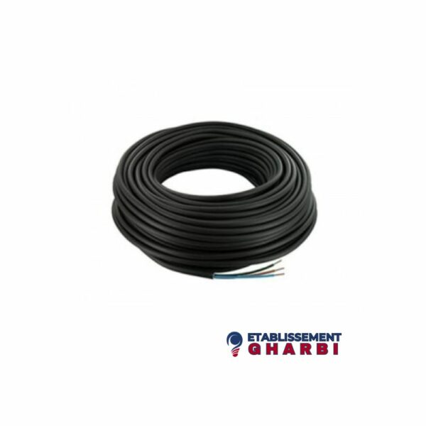 CÂBLE SOUPLE H05VVF 3x1.5 NOIR 1M