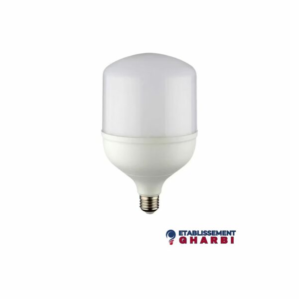 Lampe LED 48W E27