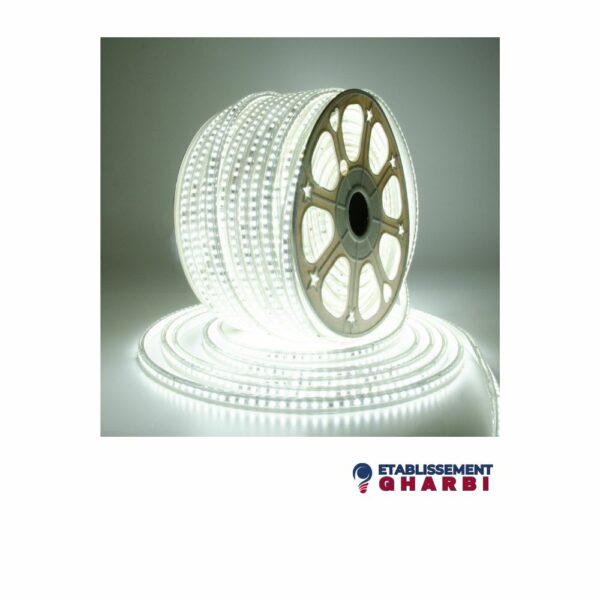 RUBAN 3 CHIP (2)