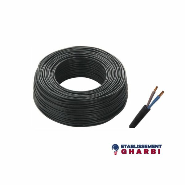 câble 2*1.5mm²